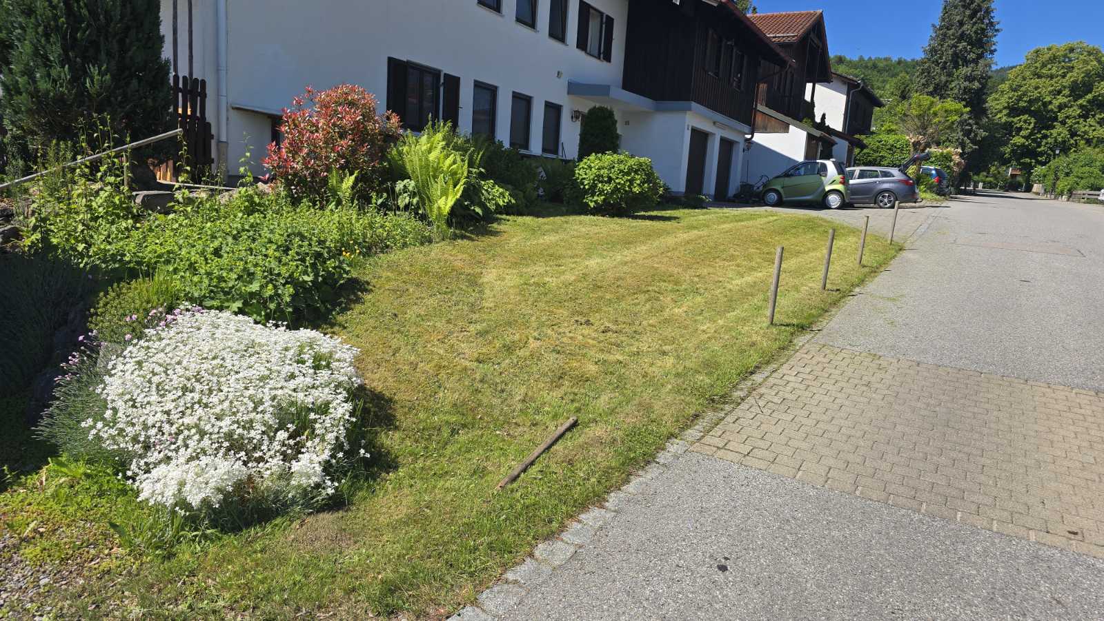 Professionelles Roden von verwilderten Grundstücken in Bad Feilnbach und Rosenheim.