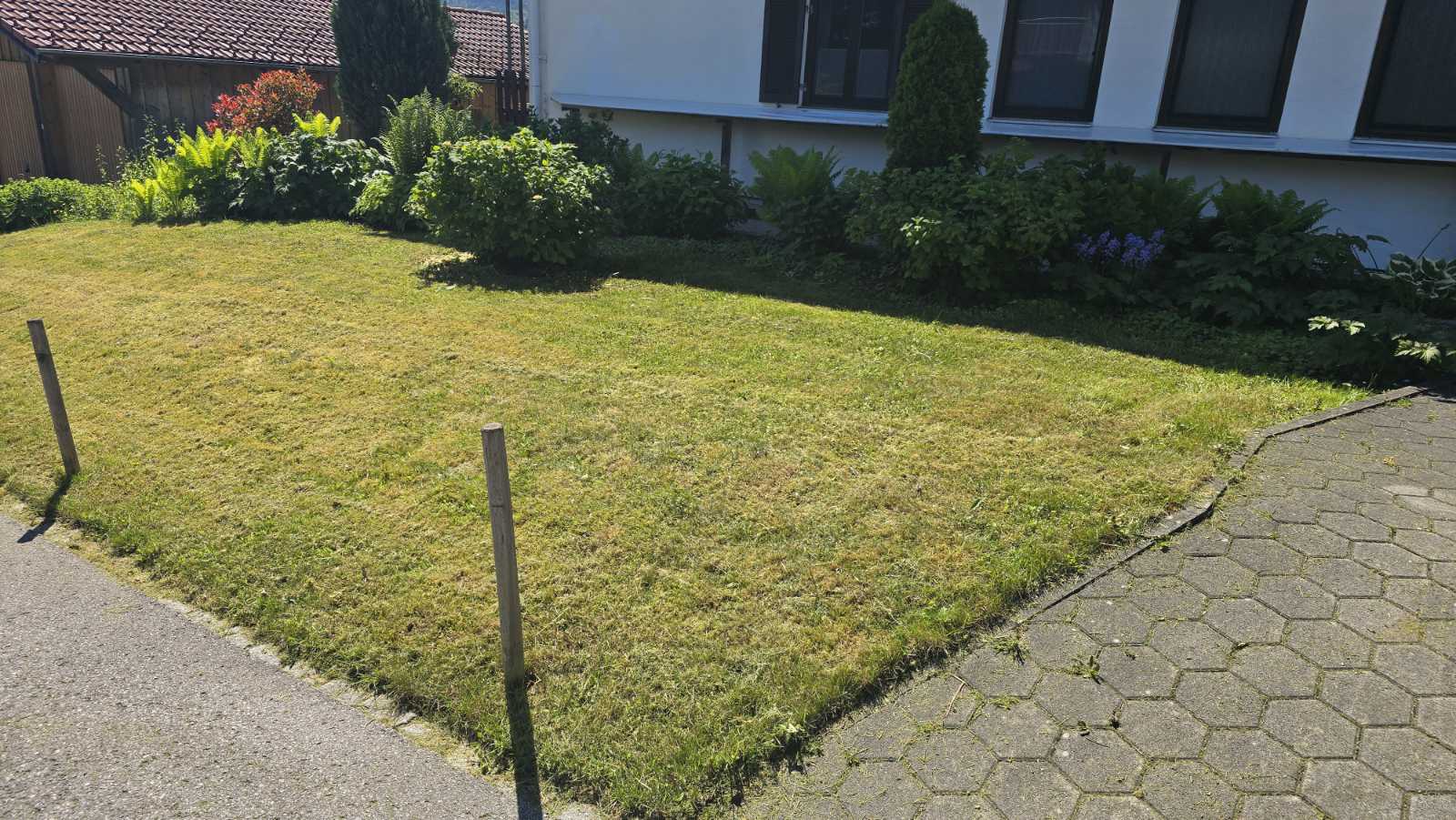 Professionelles Roden von verwilderten Grundstücken in Bad Feilnbach und Rosenheim.